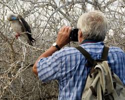 Bharatpur Bird Sanctuary Watching Tour Car Hire, car hire iin dellhi